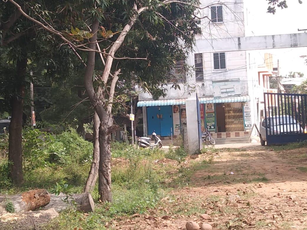 PLOT VIEW