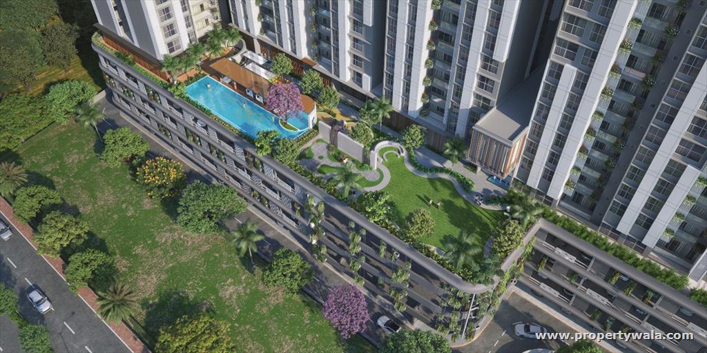 Project - Aerial View