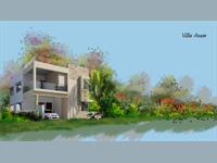 Golden Homes III