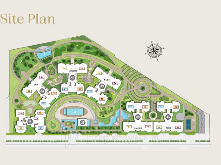 Site Plan