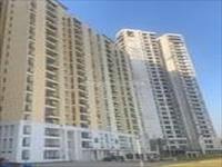 3 BHK Flat For Sale in Jaypee Kensington Boulevard Sector 131 Noida