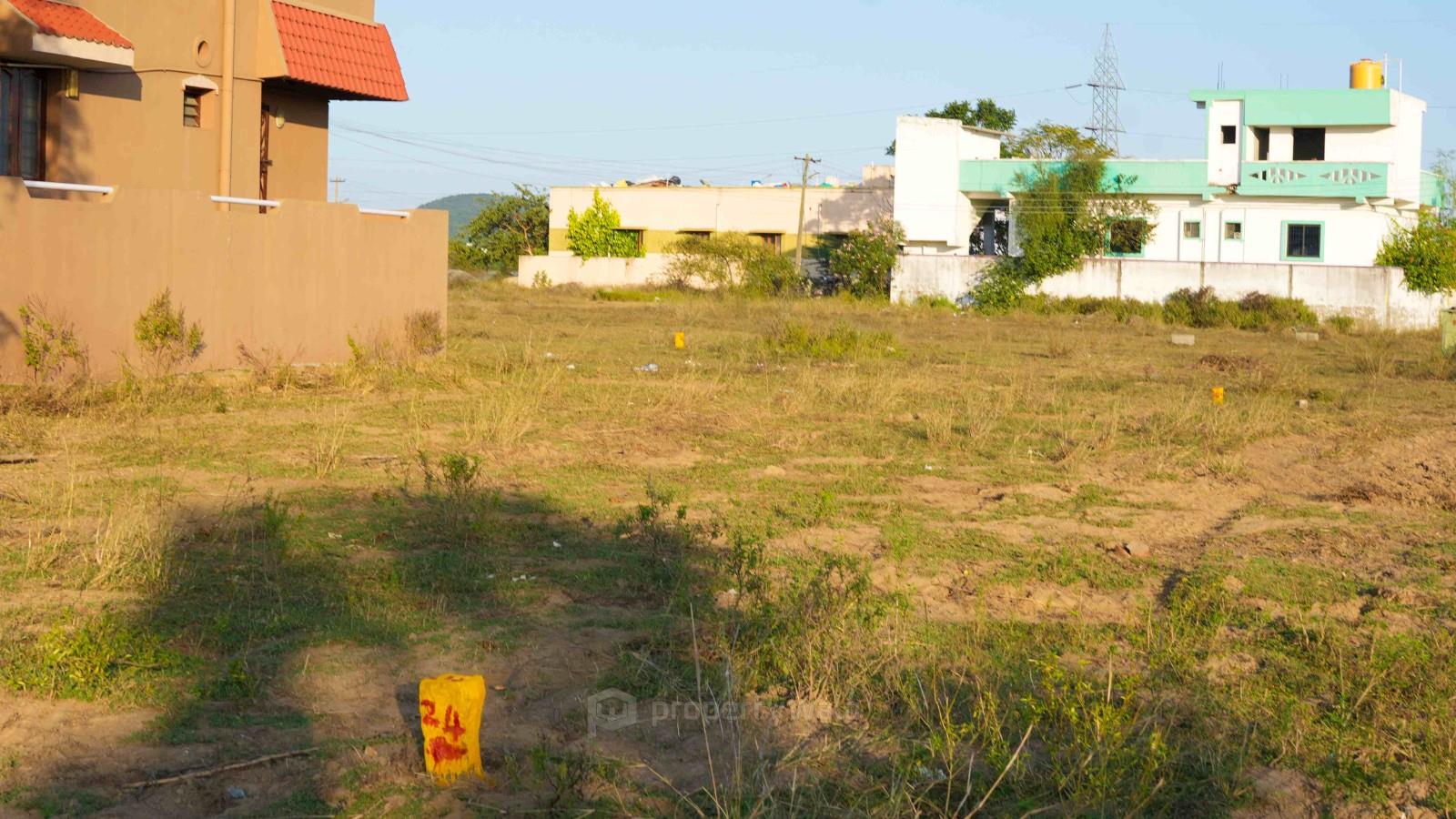 Plot Photo
