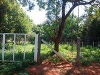 Pondicherry Aurovill on Road Plot