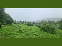 Agricultural Plot / Land for sale in Sudhagad, Raigad