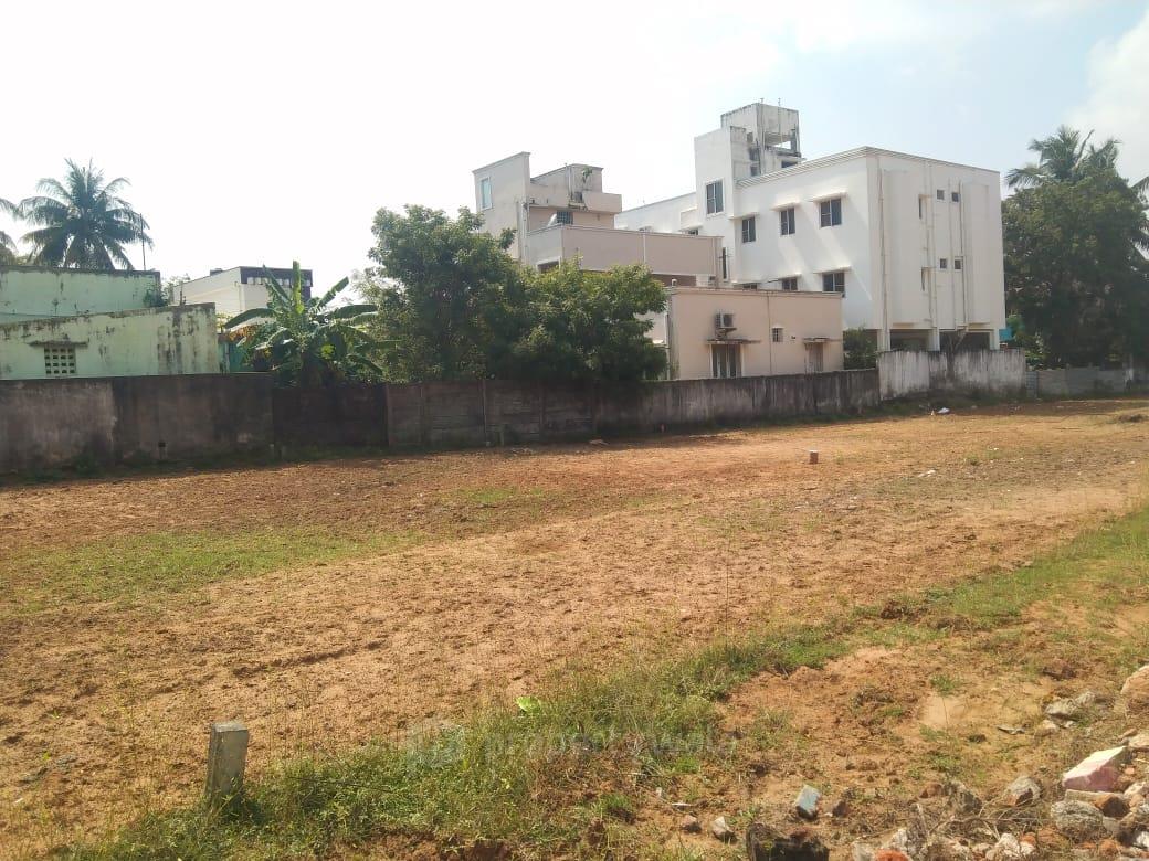 PLOT VIEW