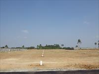 Residential Lands For sale near Trichy Airport on Pudukkottai Road