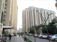 Ready to move 4BHK Flat in DLF Golf Course Road