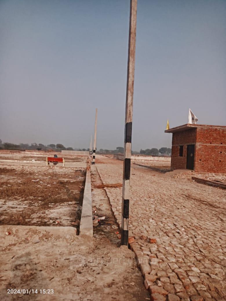 plot view