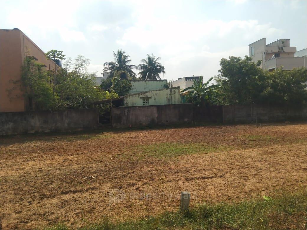 PLOT VIEW