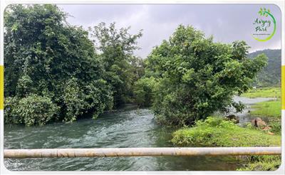 Agricultural Land for sale in Kamshet, Pune