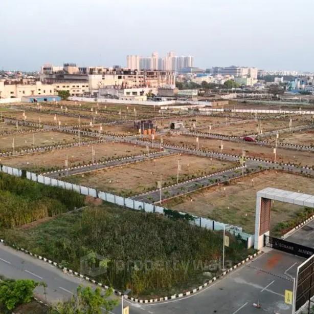 Plot View