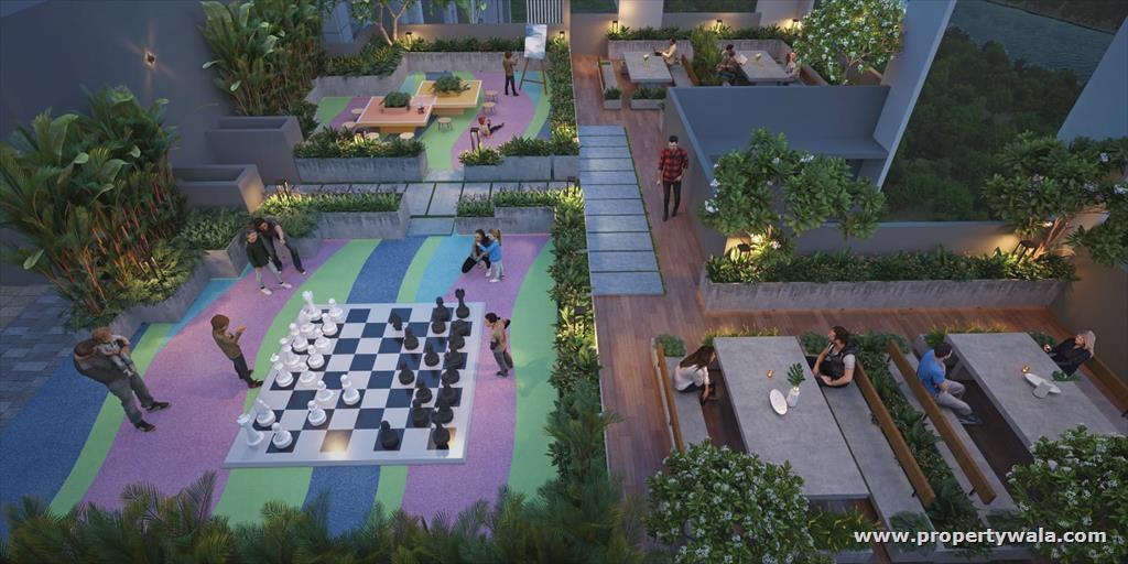 Project - Garden