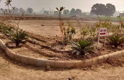 Land for sale in Altus phase 1, Mullanpur Garibdass, New Chandigarh