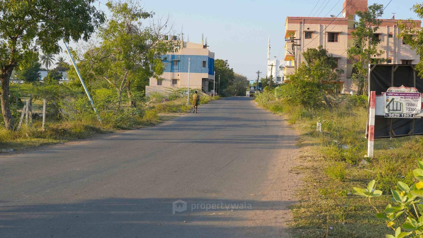Plot Photo