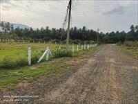 Agri Land for sale in Thirumalayampalayam, Coimbatore