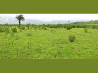 Agricultural Plot / Land for sale in Bhor, Pune