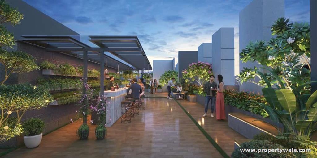 Project - Garden