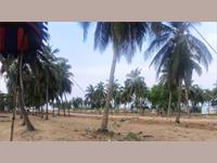 Land for sale in Prakruti Sree Datri, Bhogapuram, Visakhapatnam