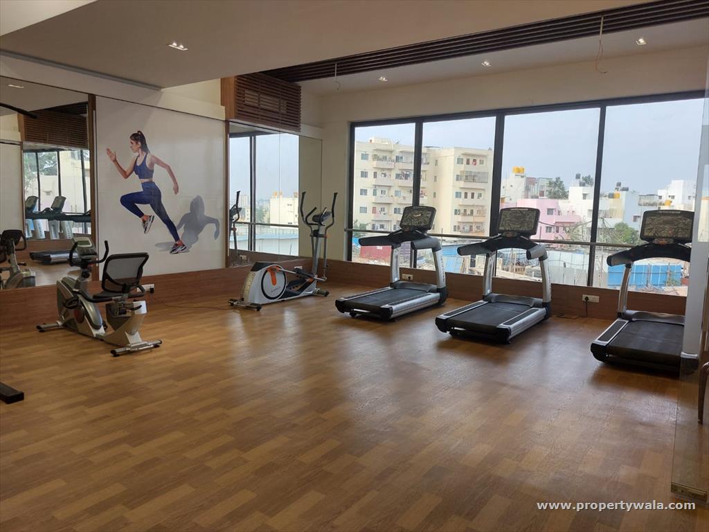 Gymnasium