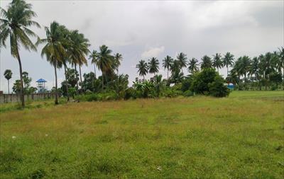 Agricultural Land for sale in Kappalur, Madurai