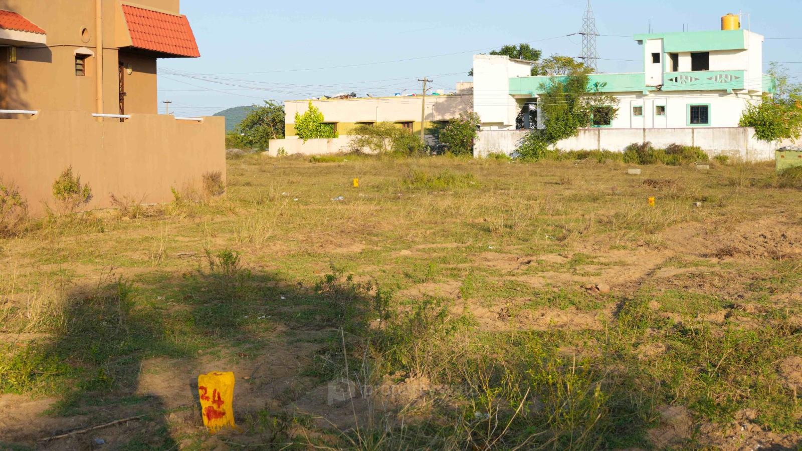 Plot Photo