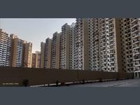 4 Bedroom Flat for sale in SARE Homes Petioles, Sector-92, Gurgaon