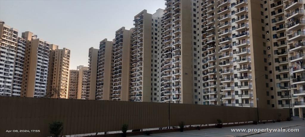 4 Bedroom Apartment / Flat for sale in SARE Homes Petioles, Sector-92, Gurgaon