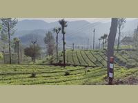 Residential Plot / Land for sale in Kotagiri, Nilgiris