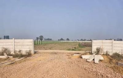 Agricultural Land for sale in Sikri, Faridabad