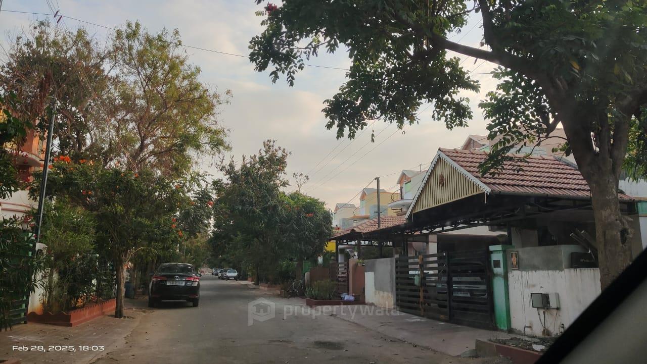 Side View