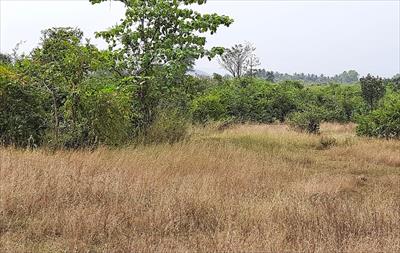 Residential Land for sale in Jui Nagar, Navi Mumbai