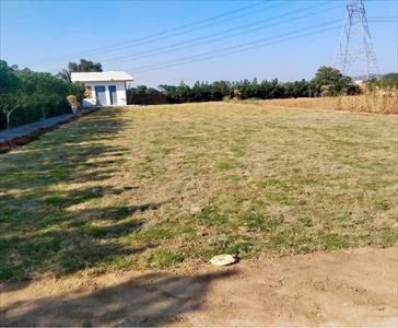 Residential Land for sale in Sultanpur, Gurgaon