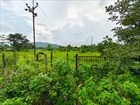 Agricultural Plot / Land for sale in Mangaon, Raigad