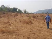 20acres agriculture land for sale at just 15kms from Mangaon bus depot