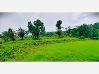 1 Acre Farm / Agriculture Land Available For Sale At Mangaon