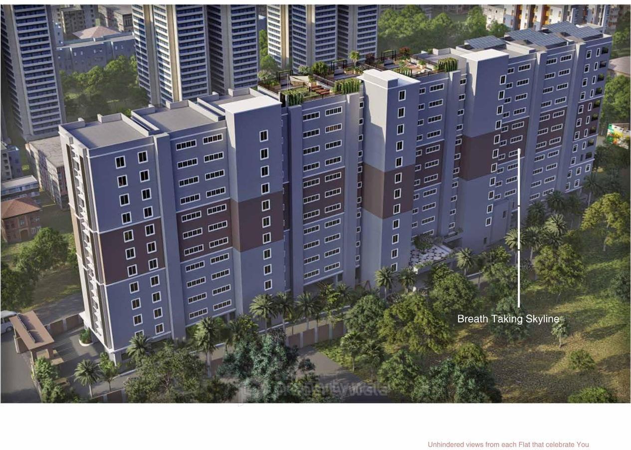 Project - Aerial View