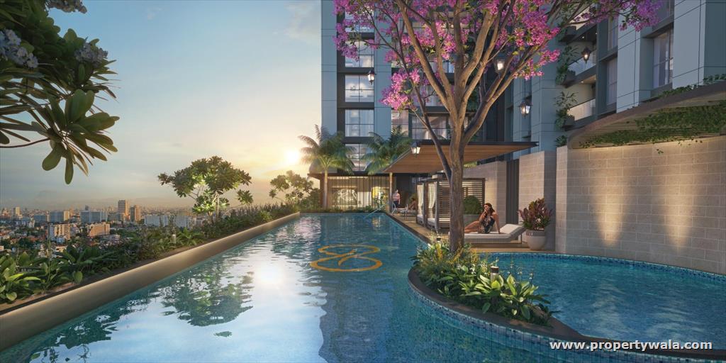 Project - Swimming Pool