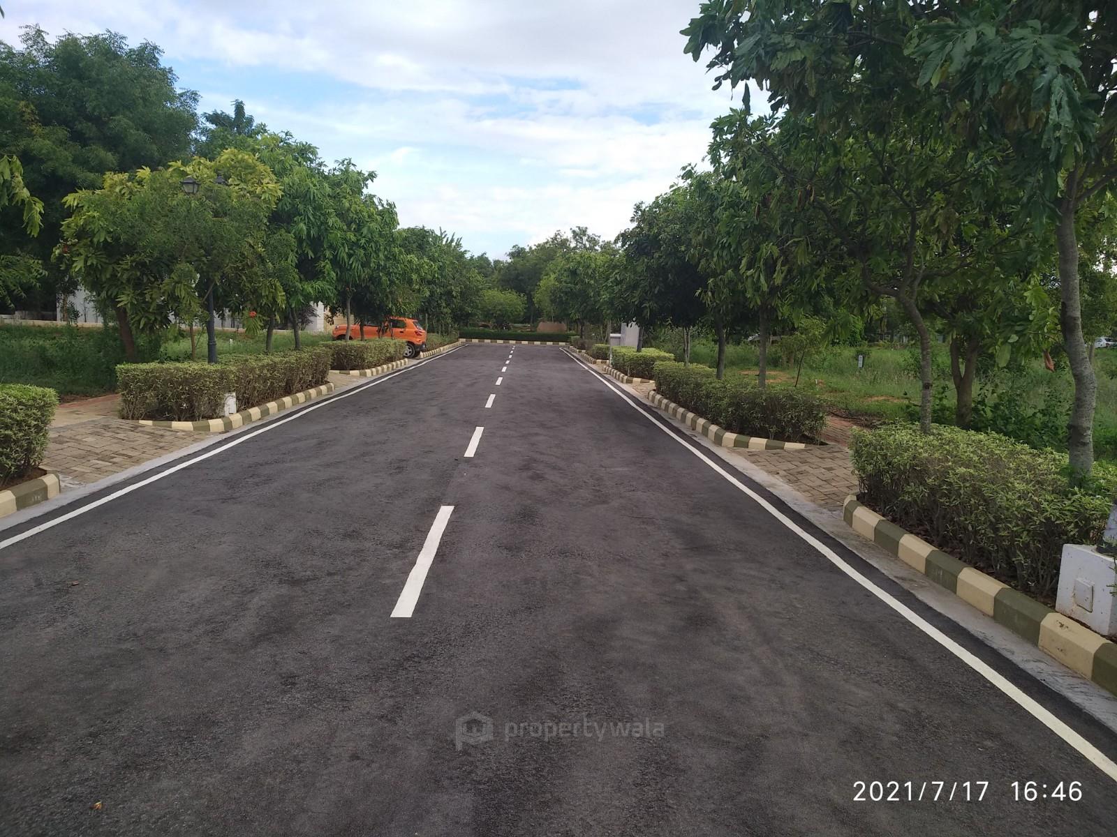 Plot view