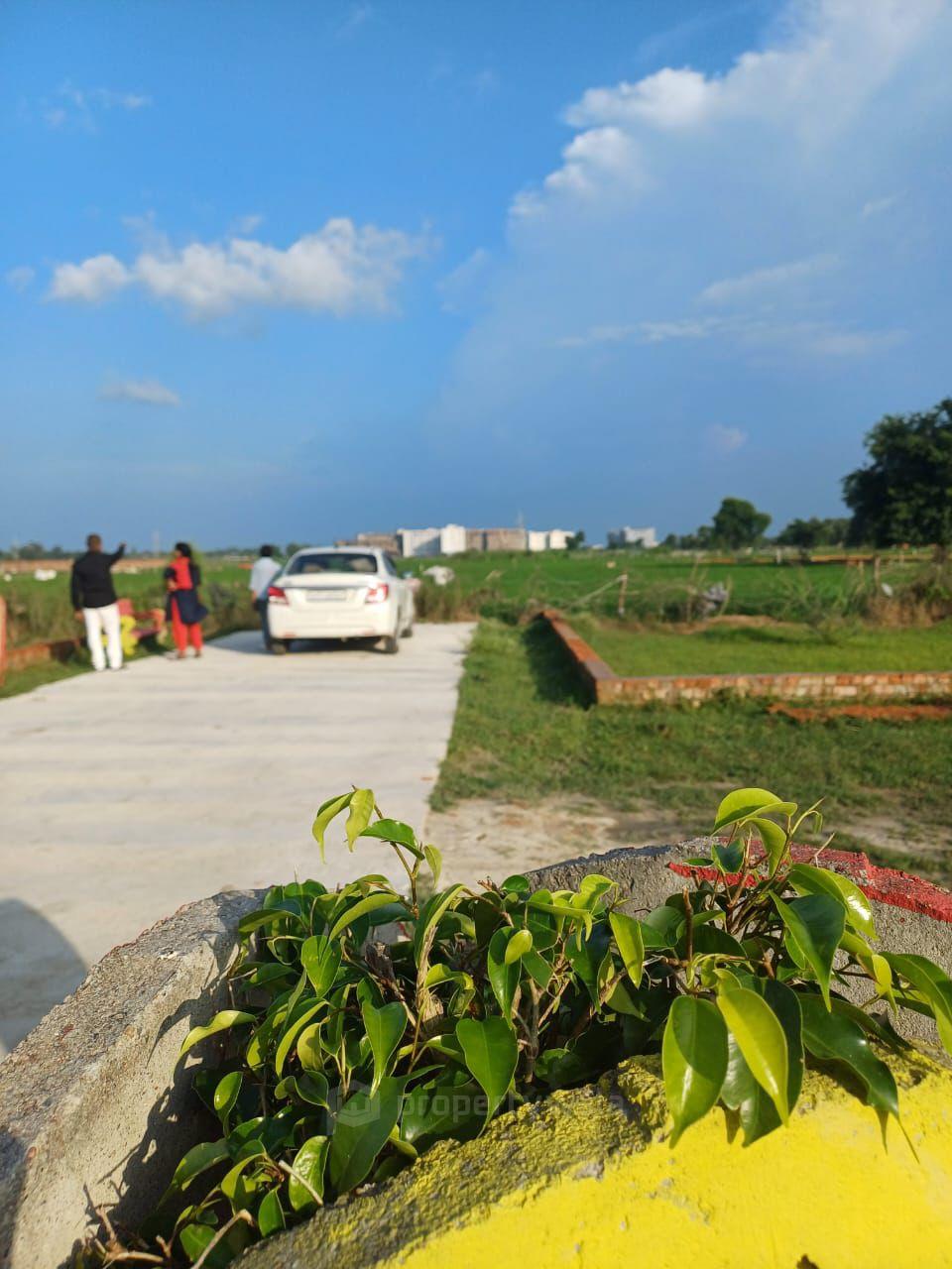Front View