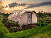Green Revolution Tech Agrofarm - Modern Farming Cultivation