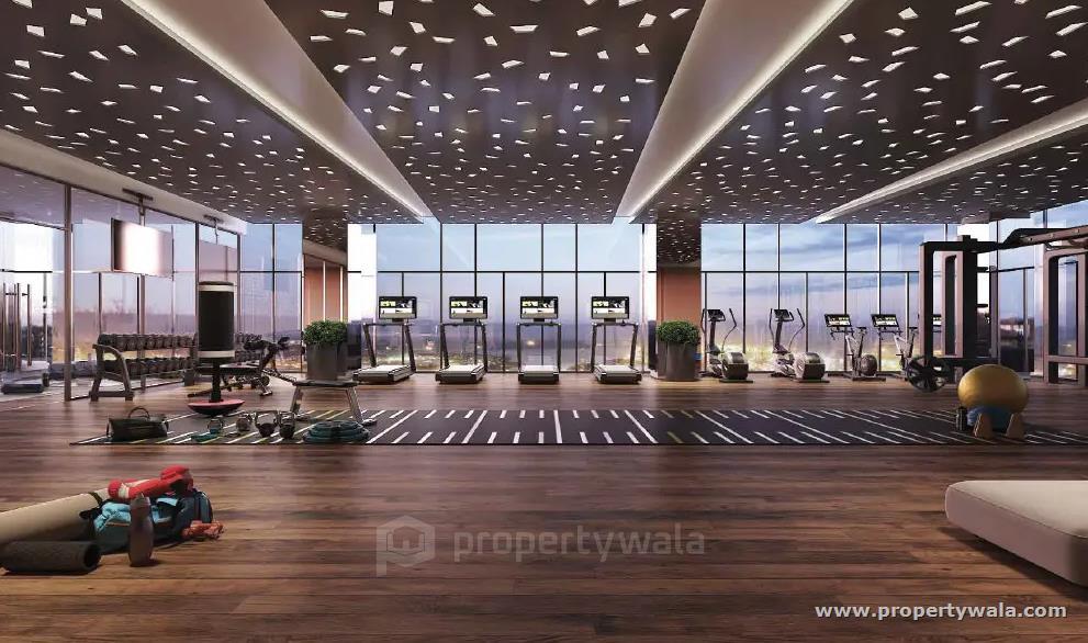 Gymnasium