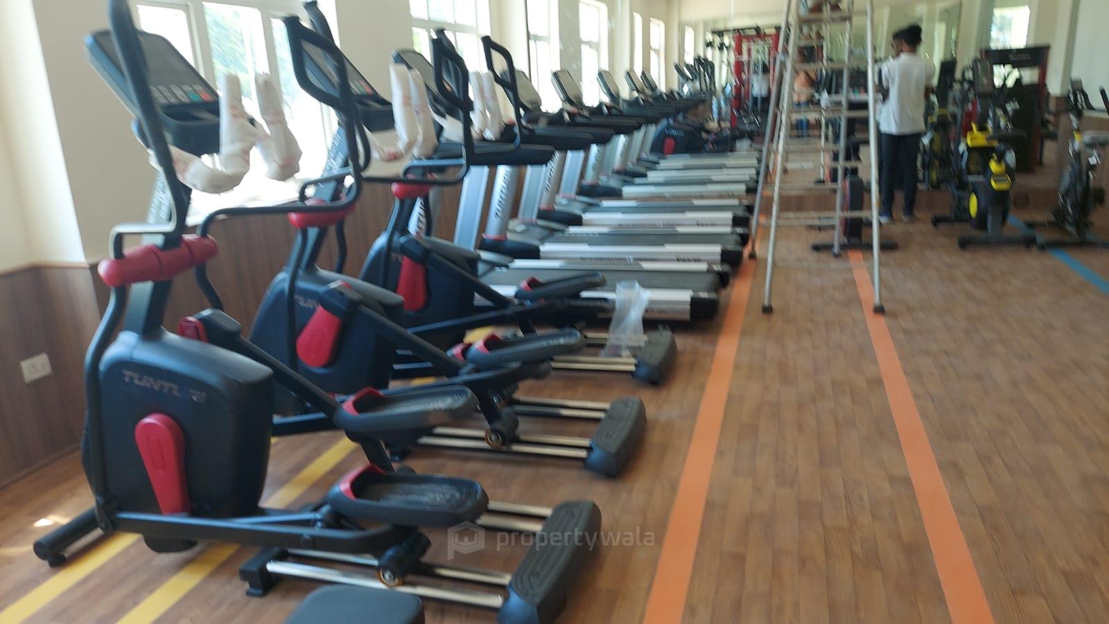 Gymnasium