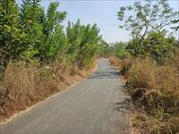 Agricultural Plot / Land for sale in Mangaon, Raigad