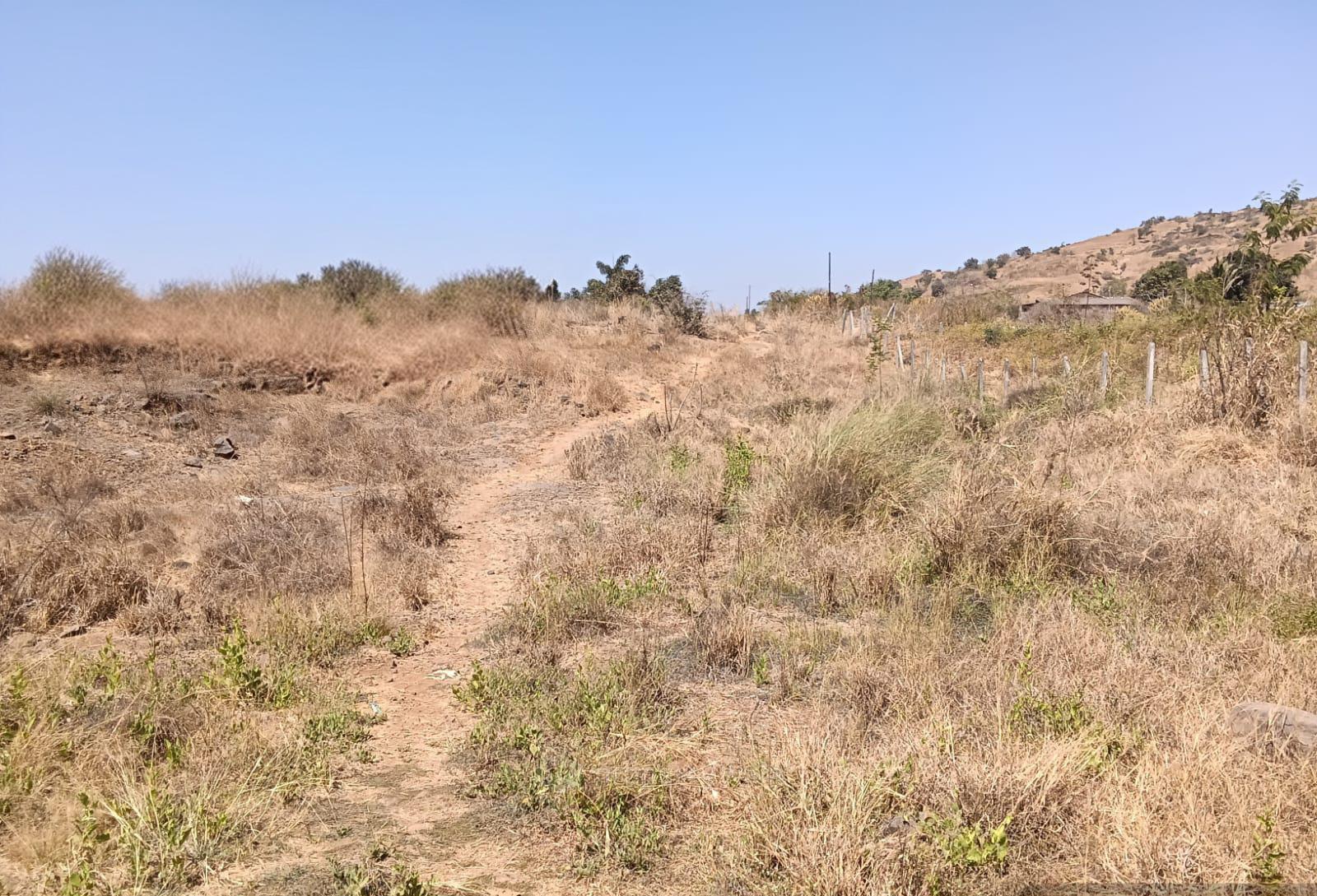 plot views