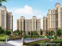 3 Bedroom Flat for sale in Ambika Florence Park, Mullanpur, Mohali