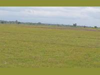 Agri Land for sale in Kanakapura Road area, Bangalore