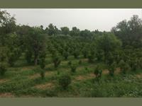 Land for sale near Sikar Rajasthan