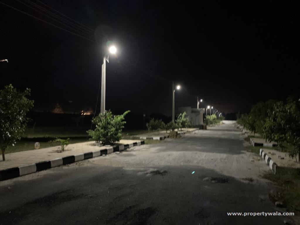 Street Light