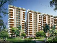 3 Bedroom Flat for rent in BeeGee Palm Village, Sector 126, Mohali