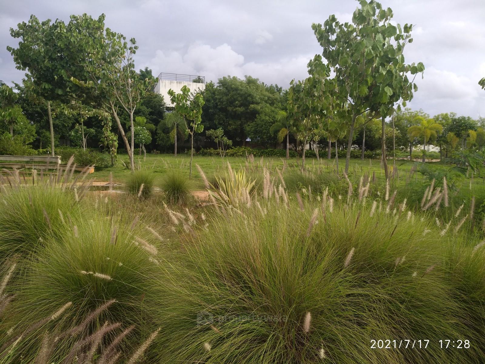 Park view